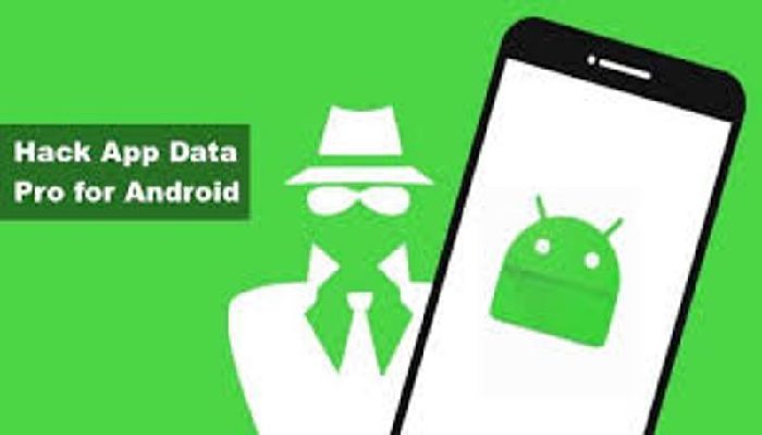 Hack App data